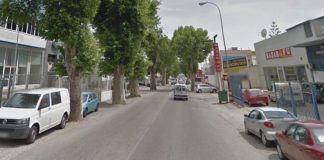 La concejalía de Parques y Jardines inicia la poda del arbolado del ‘Kilómetro 1’