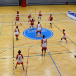 VoleibolJDPViator270410
