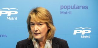 El Partido Popular pide mejoras en las calles Jacaranda y adyacentes