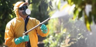 COAG organiza dos cursos de aplicador de plaguicidas nivel básico en marzo, en Motril y Albuñol