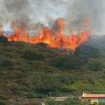 incendio forestal