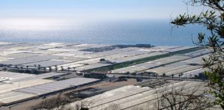 Los agricultores y ganaderos motrileños podrán solicitar las ayudas de la Política Agraria Común hasta el 30 de abril