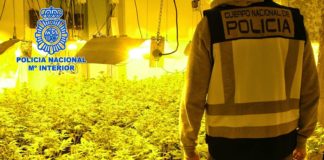 La Policia detiene a tres personas y desmantela una plantacion de cannabis en una finca