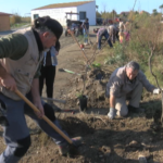voluntariado charca suarez