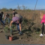 voluntariado charca suarez 2