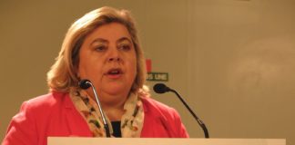 El PSOE urge medidas a la UE ante pérdidas de 196 millones en el sector hortofrutícola