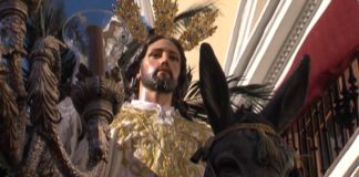 Las mejores imágenes de la Borriquita en Telemotril.tv