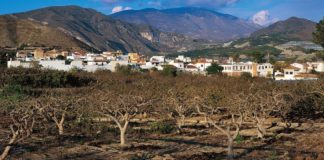 LOBRES Y LA CALETA VUELVEN A TENER CLASES DE INFORMÁTICA TRAS EL EQUIPAMIENTO DE LAS AULAS