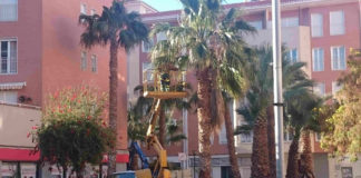 El Ayuntamiento engalanará los jardines del centro con unas 10.000 plantas de cara a la Semana Santa