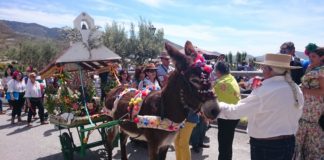 El ‘Cerro de las guías’ de los Tablones celebra su romería en honor a la Pilarica y a san Antonio de Padua (vídeo)