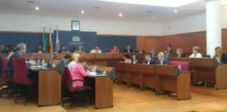 El Pleno da luz verde a los documentos anexos que permitirán el nuevo desarrollo comercial de la Puchilla