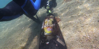 Unos 70 buceadores realizarán una limpieza del fondo marino en Calahonda para sacar plomo y otros residuos