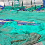 pesca motril