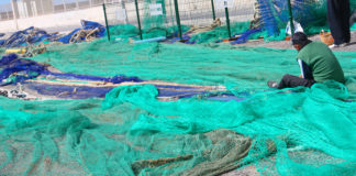 La lonja pesquera de Motril mantiene su evolución en negativo pero recorta dos puntos su volumen de capturas durante febrero