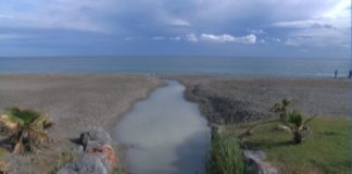 La asociación Buxus denuncia el vertido de una sustancia desconocida en playa Granada