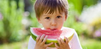 Las hortalizas y frutas son la clave de la alimentación en estaciones calurosas para correcto funcionamiento del cuerpo