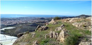 La asociación Buxus presenta alegaciones para salvar el monte público del Cerro del Toro