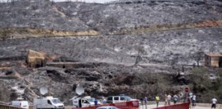 La asociación Buxus iniciará en otoño una campaña de voluntariado para la reforestación del Alcornocal de Lújar