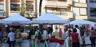 Flor Almón destaca la importancia que tiene para la actividad comercial y hostelera la llegada de cruceros como el ‘Peace Boat’