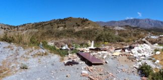 Buxus considera que la Costa ha decaído en el último año debido a la degradación del medio natural