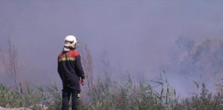 Un incendio en el entorno del puerto afectó el domingo a una superficie de 20.000 metros de cañaverales y aneas