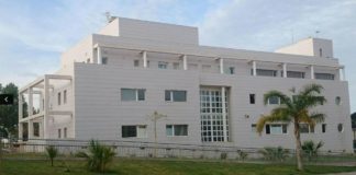 La Policía Nacional desarticula una banda con la detención de diez personas por tráfico de drogas