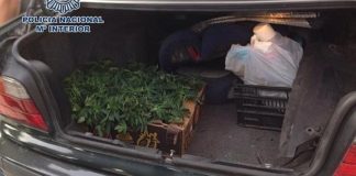 Detenido en Motril por transportar cinco kilos de marihuana en su coche