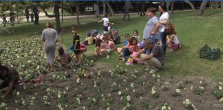 Medio millar de escolares ha celebrado el día mundial del Medio Ambiente con una plantación en el parque de los Pueblos de América