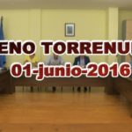 pleno torrenueva