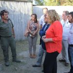 visita fiscal