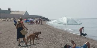 La playa canina de Motril registra suu primer gran lleno de la temporada