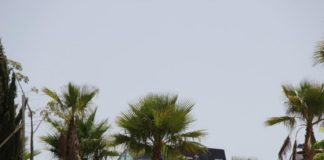 Hallan el cuerpo sin vida de un hombre en los jardines de la urbanización del Balcón de San Fernando