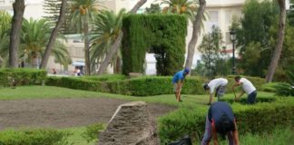 El Ayuntamiento crea un apartado en su página web para notificar a los vecinos los tratamientos que se hacen en las plantas de calles, jardines y parques de cada barrio