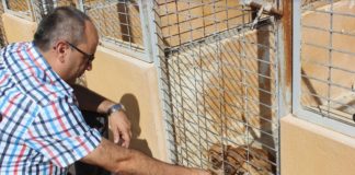 La ‘Campaña de Concienciación, Civilización y Pro-adopción’ anima a los motrileños a adoptar mascotas