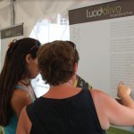 feria aciete