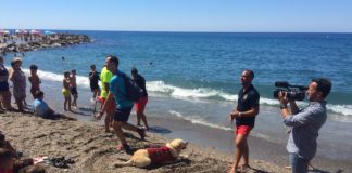 Torrenueva organiza una exhibición de rescate en la playa apoyado por unidades caninas