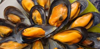 El Boletín Oficial de la Junta de Andalucía ha publicado la autorización para recolectar y comercializar mejillones del multitrófico de Motril