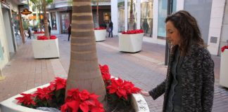 La concejalía de Parques y Jardines denuncia los actos vandálicos cometidos en el centro, donde se han arrancado decenas de pascueros