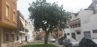 El Ayuntamiento acometerá obras de mejora en la Rambla del Carmen con cargo al PFEA