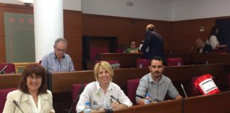 IU considera un “paripé” la reunión del Consejo Económico y Social