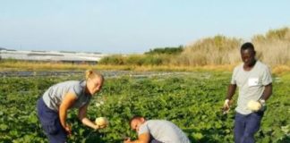 El proyecto de Cáritas ‘Sembrando Oportunidades’ da sus frutos