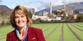 TELEMOTRIL DIARIO COMARCAL 20 2 201