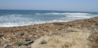 TELEMOTRIL DIARIO COMARCAL 12 DE JULIO DE 2018