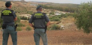 El Seprona interviene en la costa 29 kilos de pulpo capturados en pesca de recreo