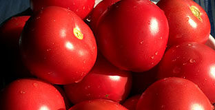 Granada supera las 700.000 toneladas en hortofrutícolas y se afianza como segunda productora en Andalucía