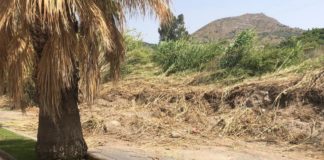 El PSOE pregunta por qué se han parado las tareas de acondicionamiento y mejora del carril que discurre paralelo al Polideportivo Municipal