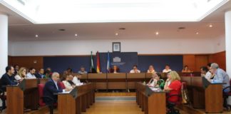 El Pleno aprueba solicitar a Costas una autorización temporal y excepcional para aparcar en la Playa