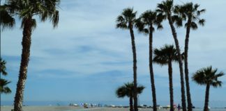 Los Chiringuitos de la Costa se quejan de la insensibilidad de la Dirección General de Costas