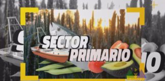 Sector Primario 16 de febrero de 2022  16 02 22
