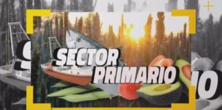 Sector Primario 7 de abril de 2021   07 04 21